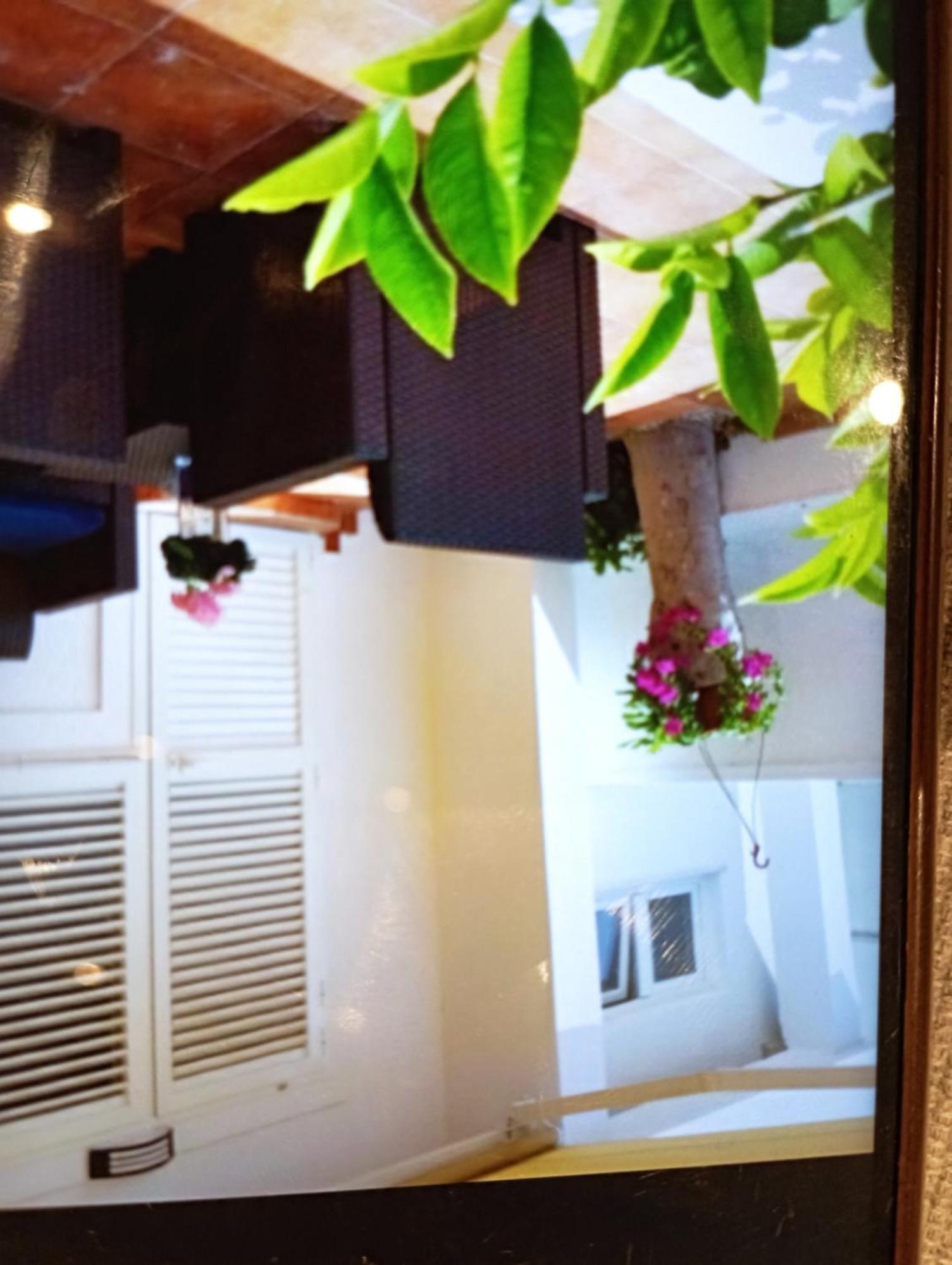 Apartmani Trubi 1 Vodice Buitenkant foto